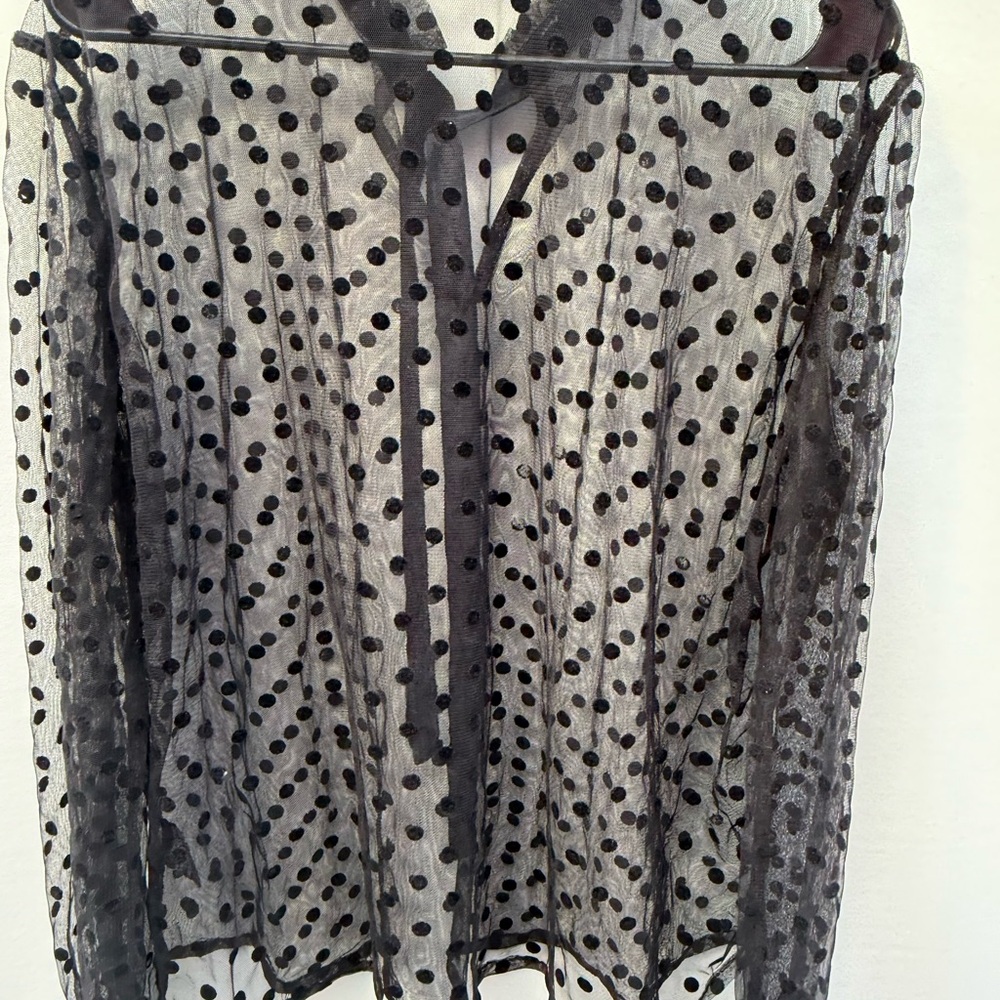 Elegant Black Polka Dot Sheer Women's Top